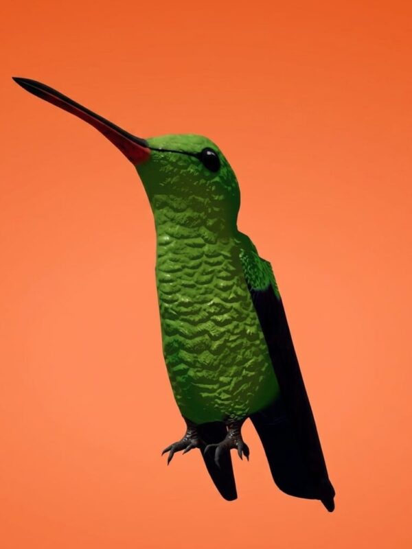 El reino alado: un metaverso de pájaros