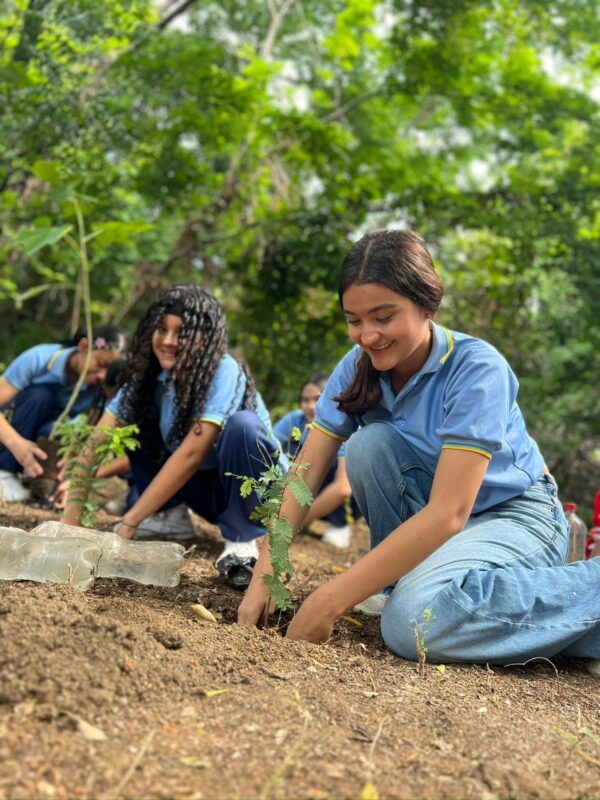 Cinco proyectos que usan CoCrea para proteger el medio ambiente