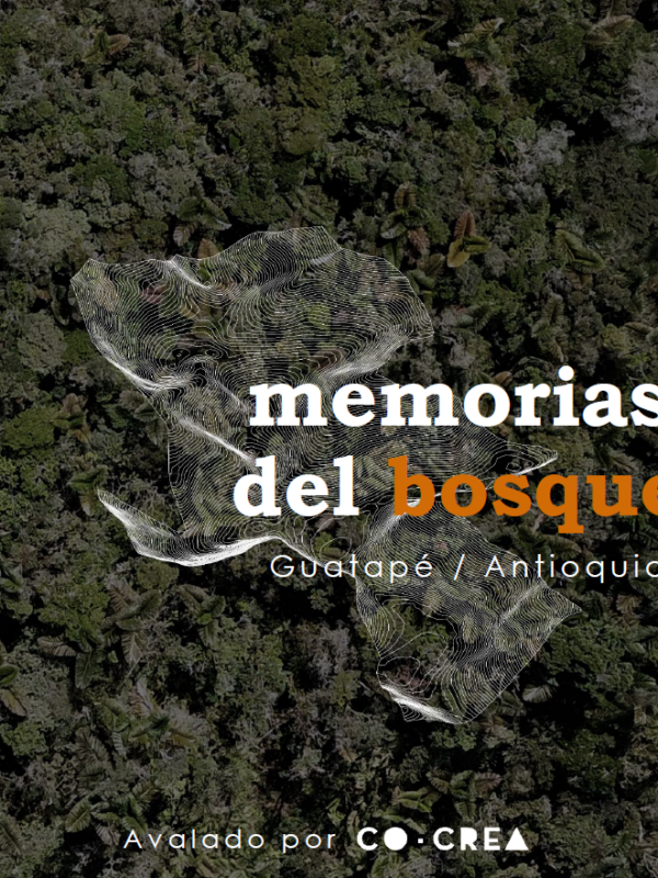 Memorias del bosque: un nuevo enfoque para el turismo ecológico